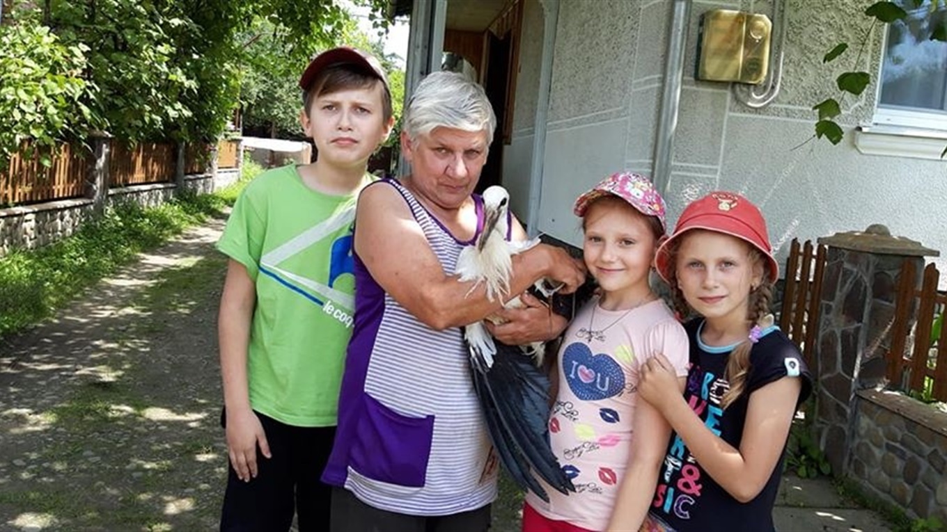 Добра історія про те, як у Середньому Бабині лелеченя рятували