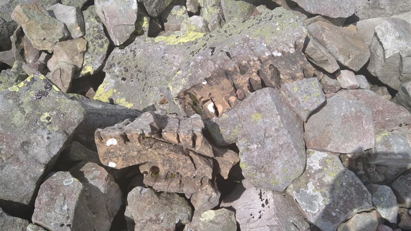 Гірський рятувальник сфотографував сліди від блискавки
