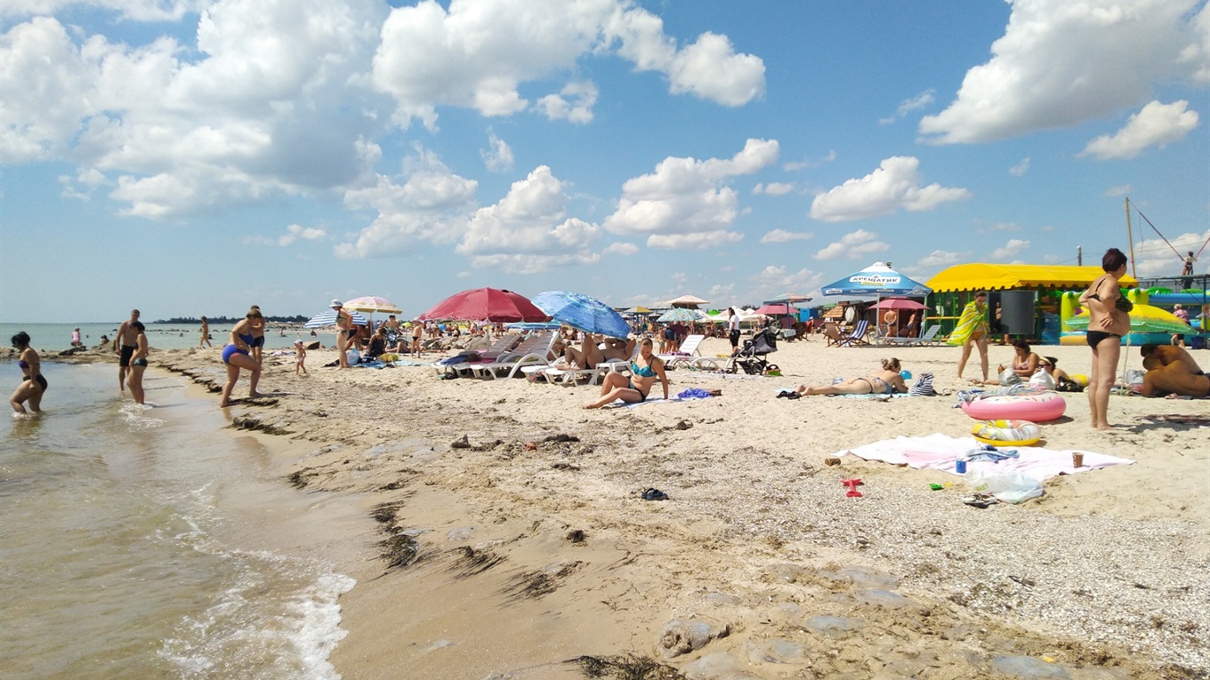 ​​​​​​​Медузи повернулися на морське узбережжя України. На які курорти поки що не варто їхати