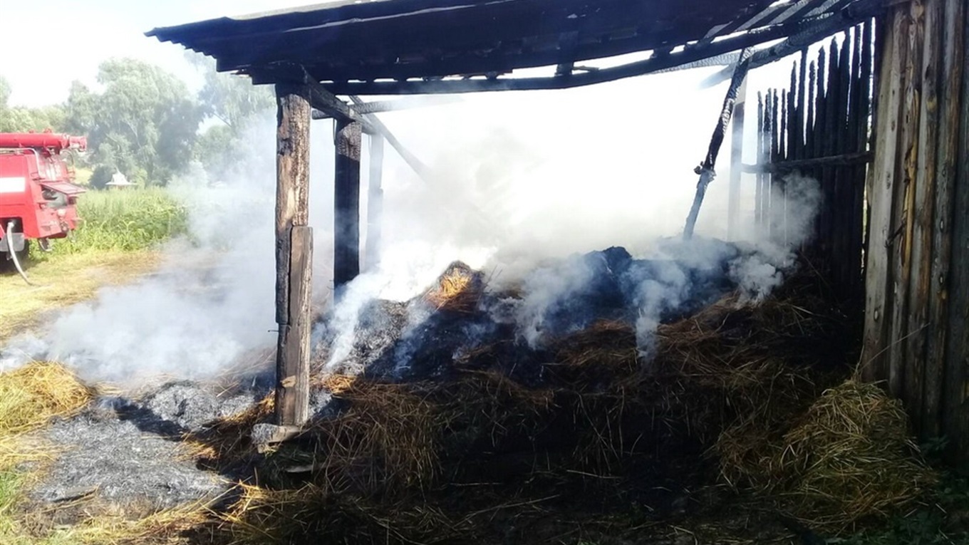 У Холмах на Корюківщині хтось підпалив чотири тонни сіна і соломи