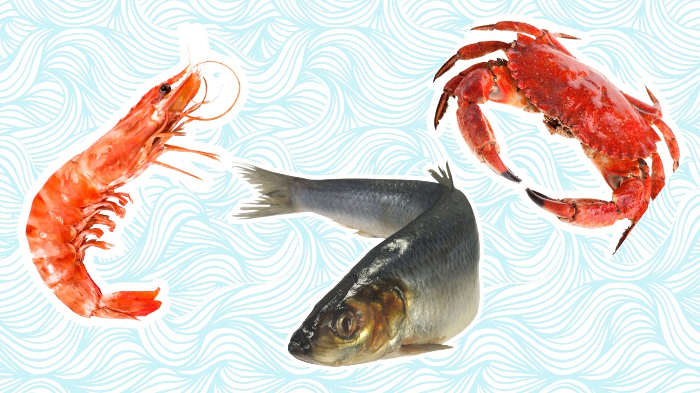Користь морепродуктів та чи допоможуть вони боротись з осінньою хандрою
