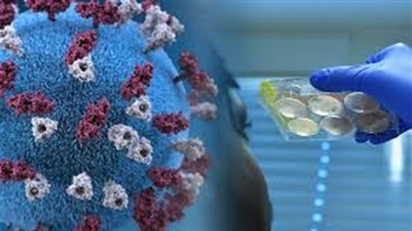 Ситуація з COVID-19 загострюється в Миколаївській області, є небезпека переходу в жовту зону