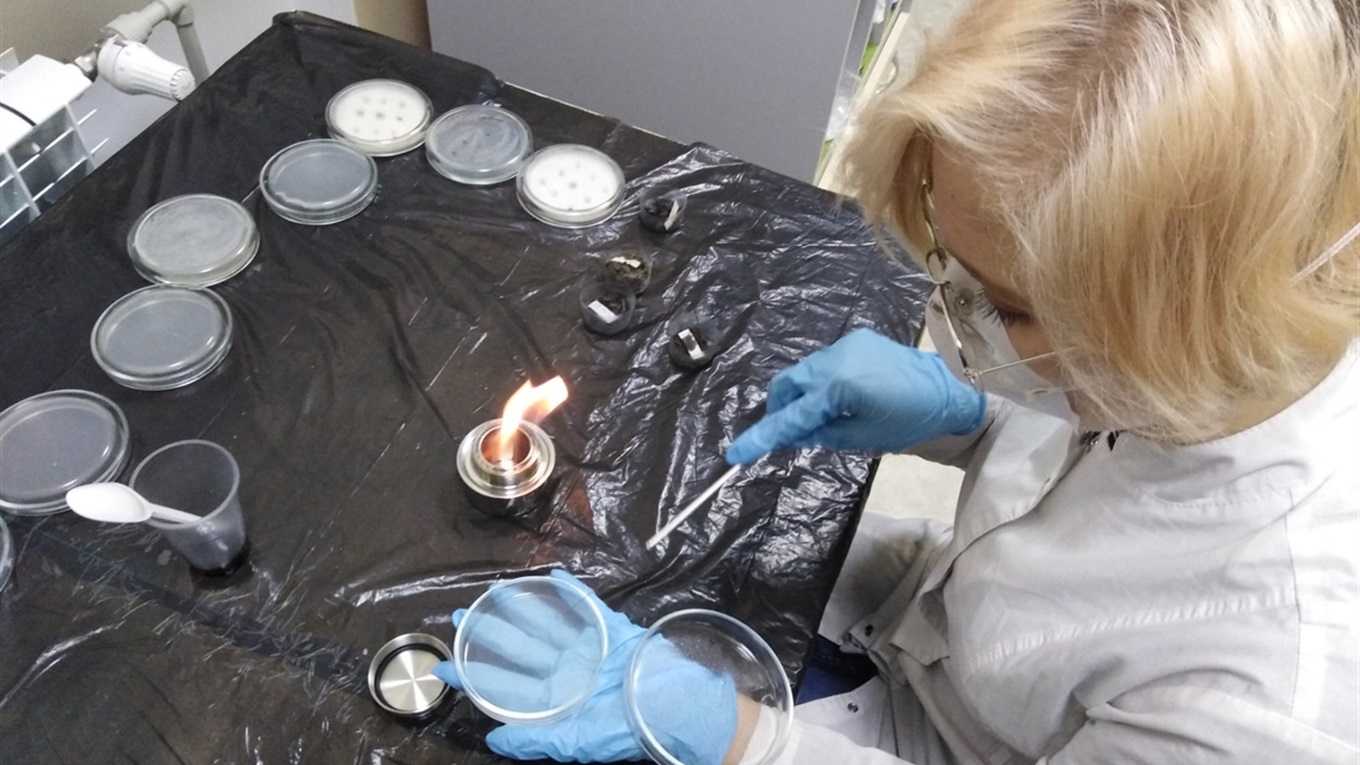 18-річна маріупольчанка розробила технологію очистки ґрунтів від нафти. Ось як це працює