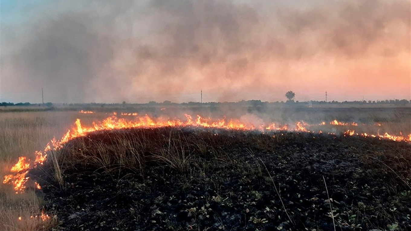 День рятівника на Гадяччині: пожежники приборкували вогонь