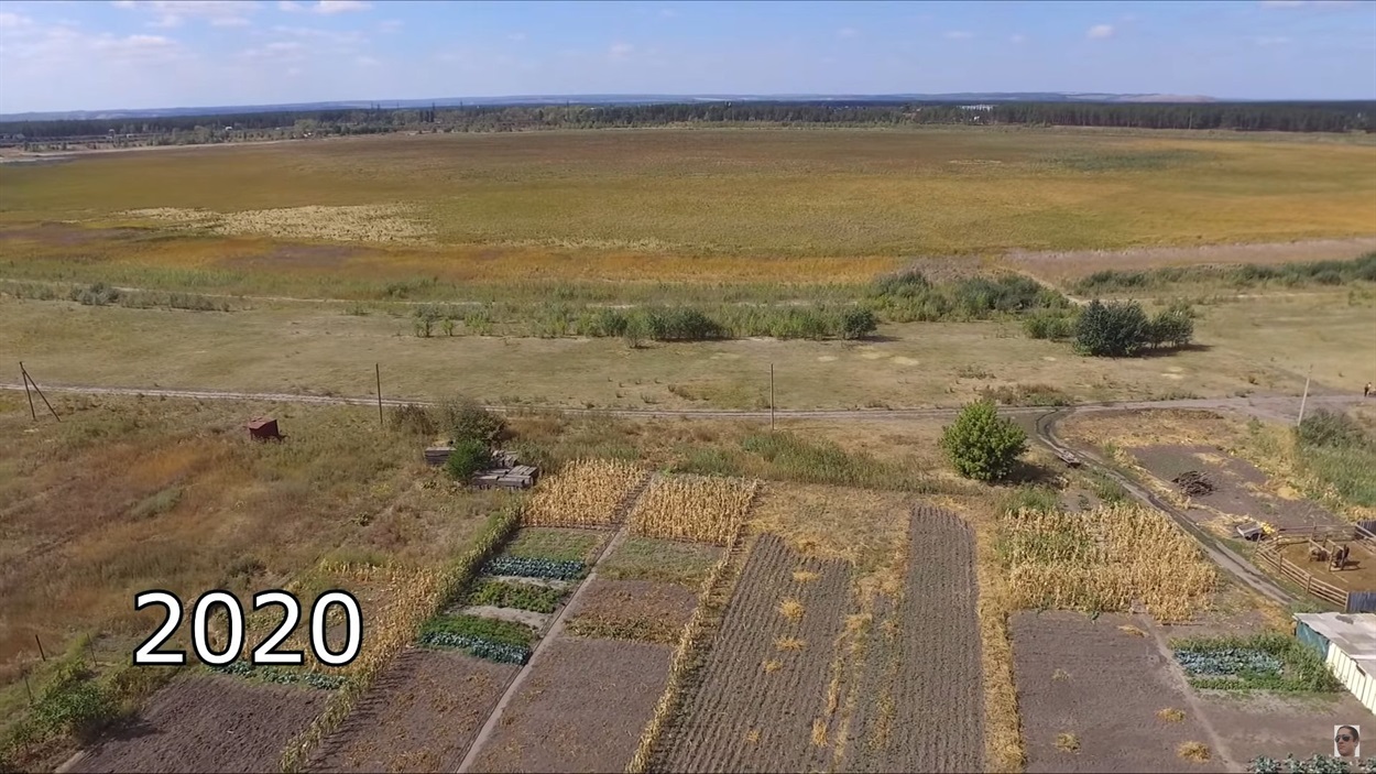 Озеро Лиман в 2020 году