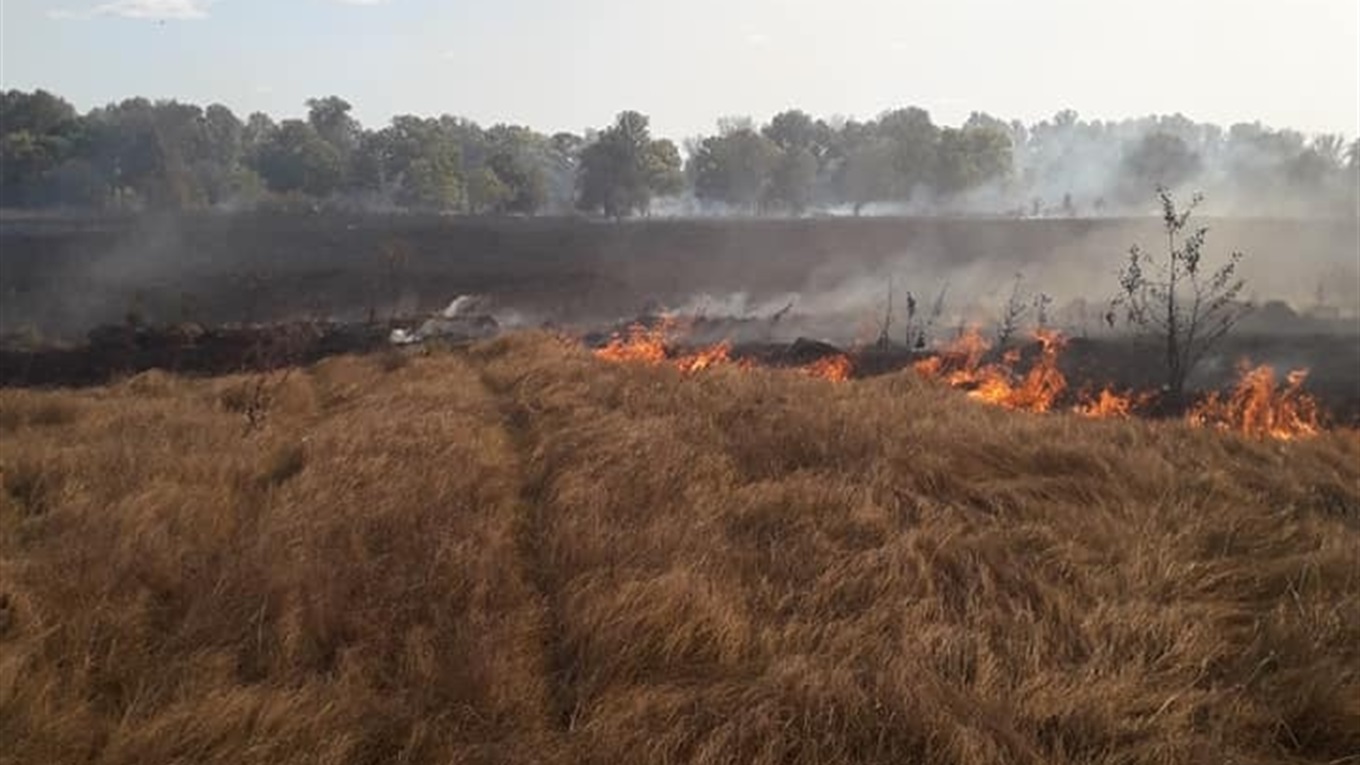 На Полтавщині знову оголоcили надзвичайний рівень пожежної небезпеки