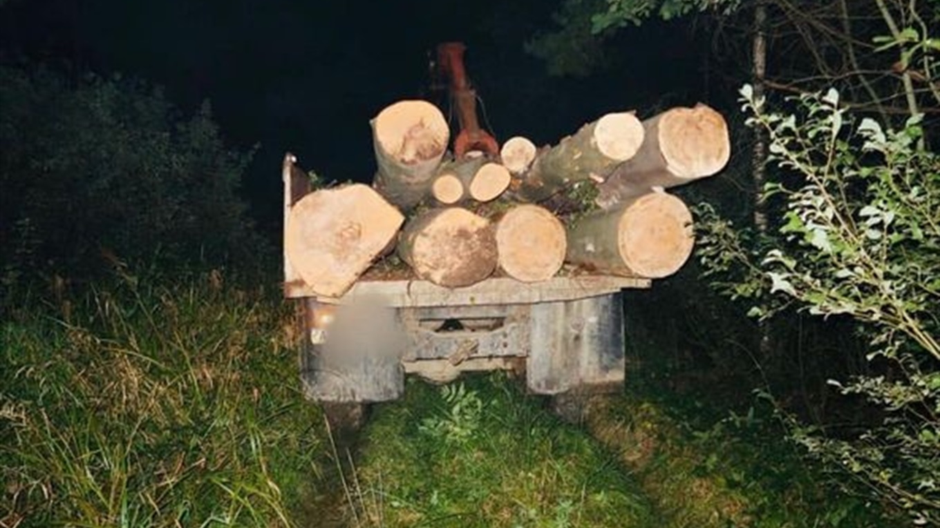 Поліцейські заарештували лісника з Калущини за незаконне перевезення деревини