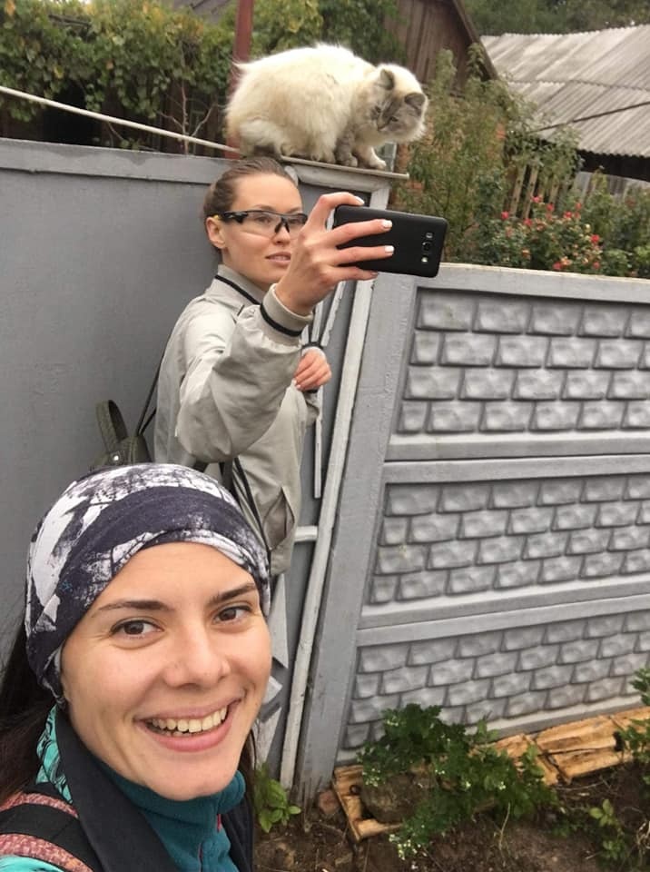 Иногда волонтерам "Лады" сложно удержаться и не сфотографировать котика