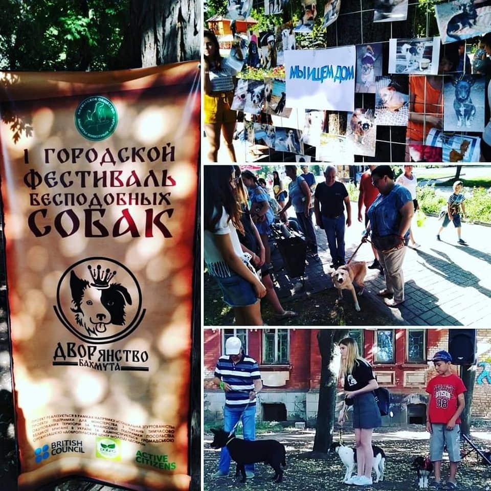Фестиваль Бесподобных собак в июне 2019 года