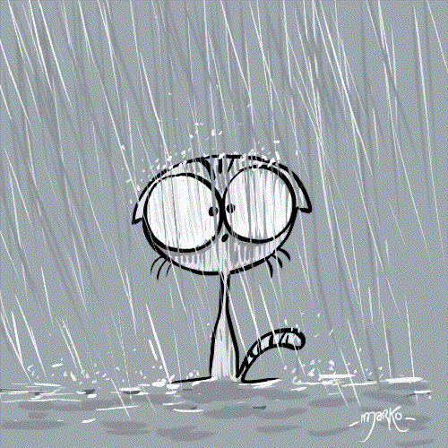 Вихідні на Херсонщині будуть із туманом та дощем