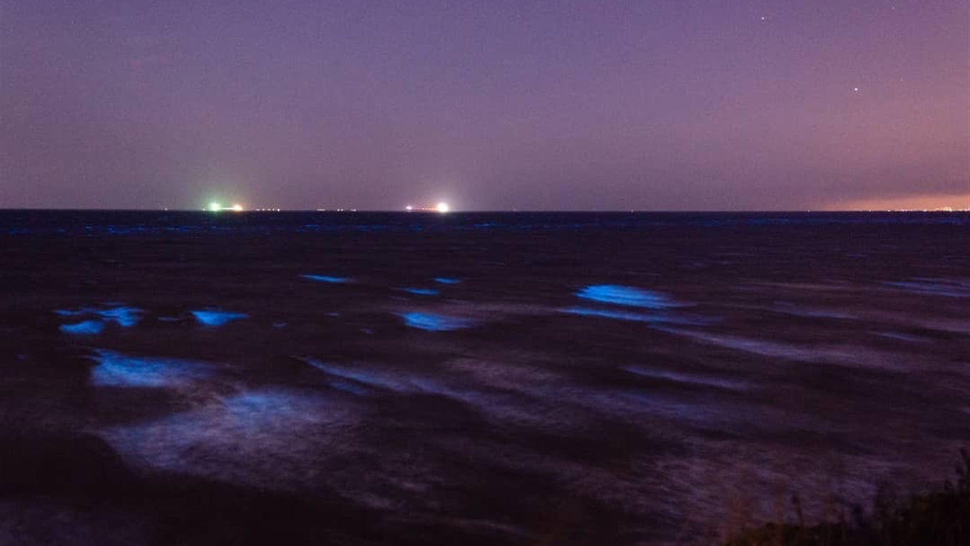 Море на Одещині сяє вночі: фото та пояснення науковців