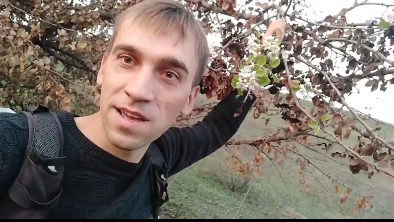 На Переяславщині восени зацвіла груша