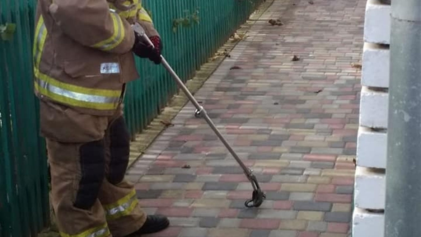 У Калуші змія заповзла на приватне подвір'я: люди викликали рятувальників