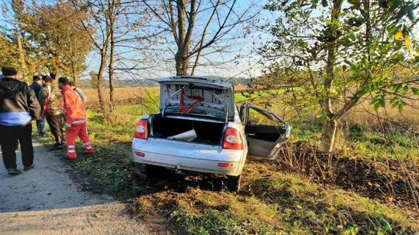 У Зеленеві загинув водій «ВАЗ», який врізався в дерево