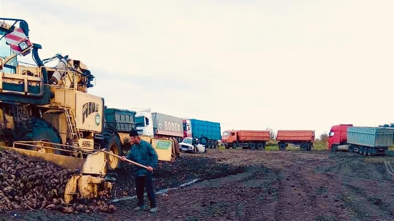 Михайло Співак: експорт цукру цього року або скасуютьо, або скоротять до мінімуму