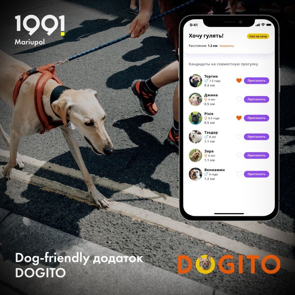 Застосунок Dogito 