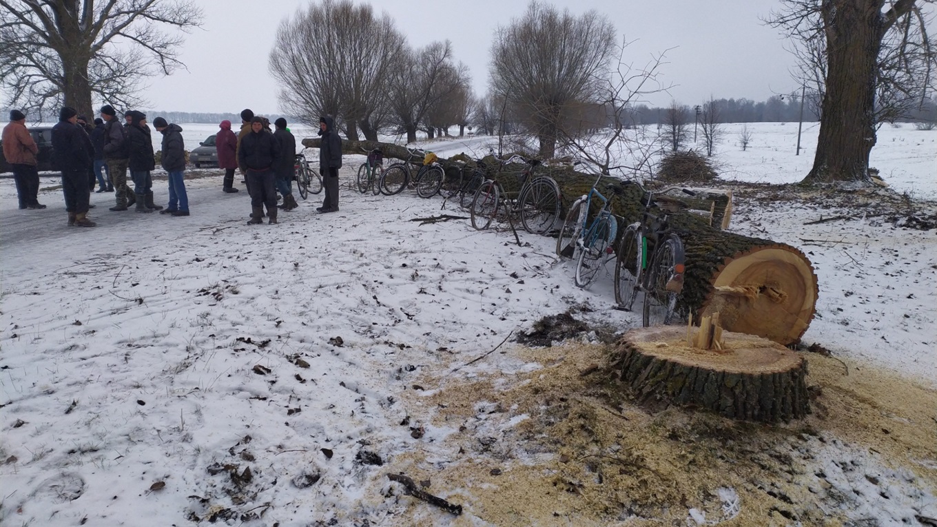 На Менщині селяни вдруге намагалися завадити вирубці дерев