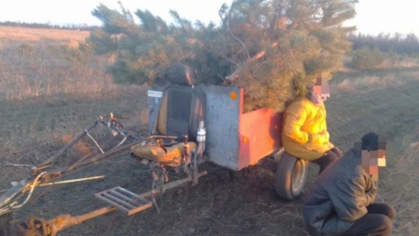 На Пологівщині затримали ялинкових крадіїв