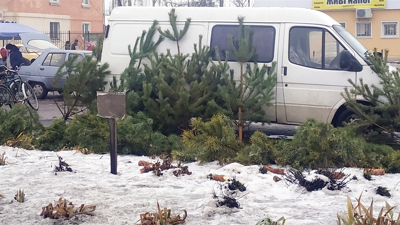 Свято наближається.  У скільки цьогоріч менянам обійдеться прикрасити оселю