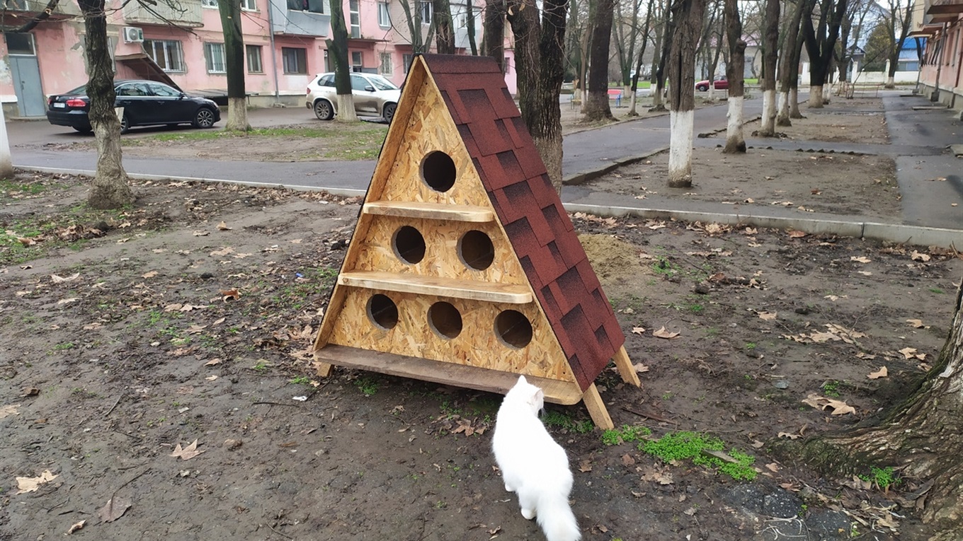 Котокоттеджи для бездомышей: в Измаиле строят и устанавливают теплые домики для кошек (видео)