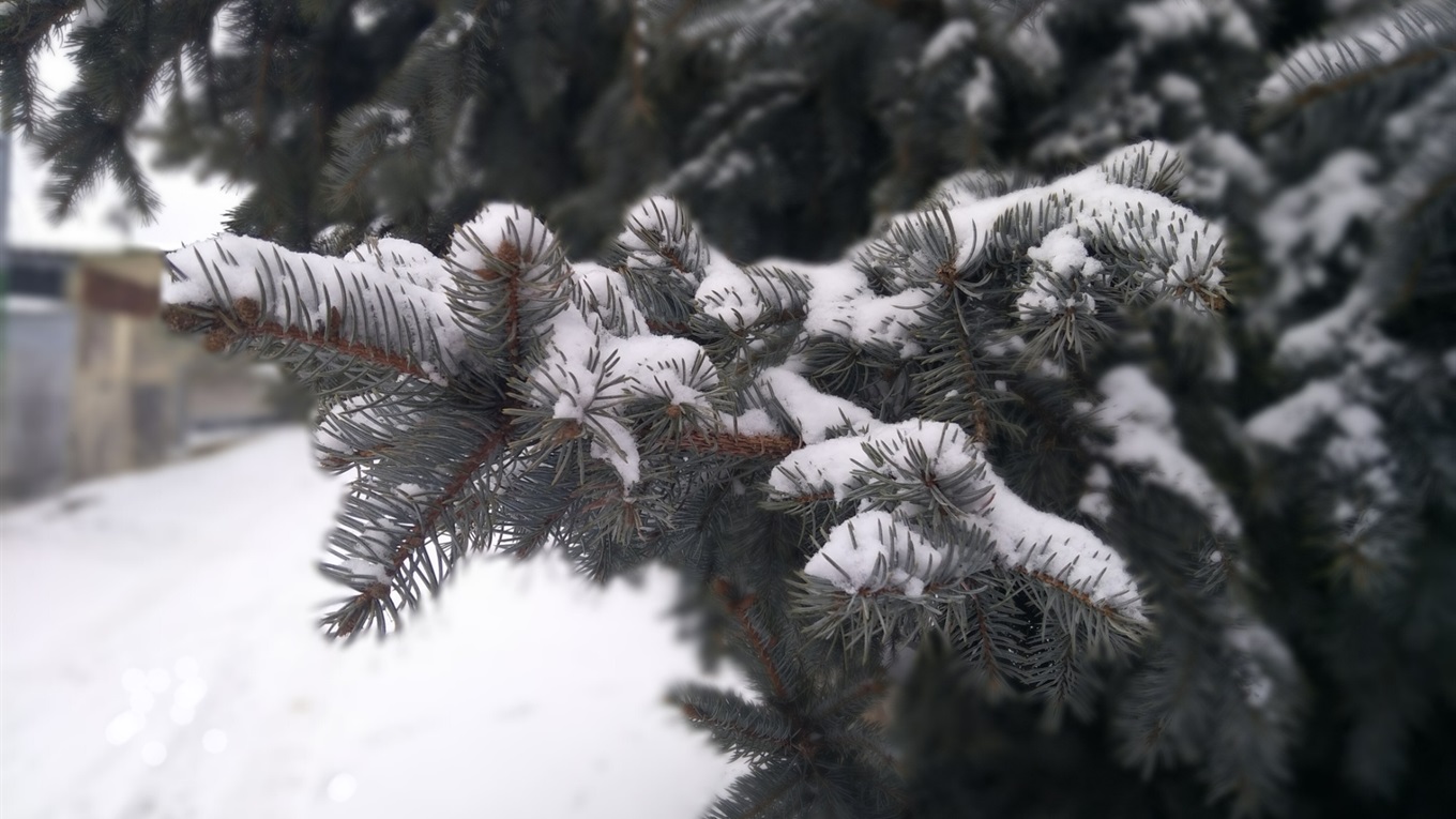 Фотопрогулянка засніженим Первомайськом