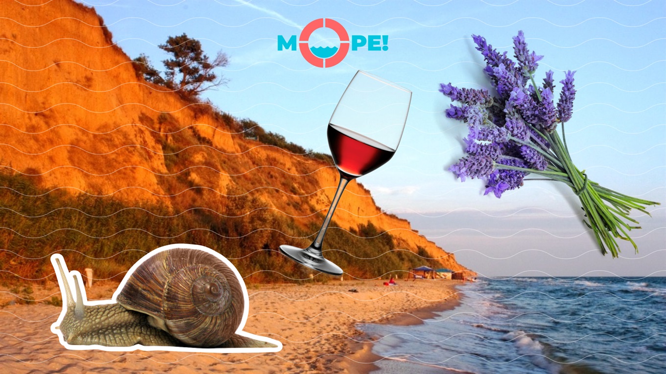 Гейзери, велосипеди, равлики. Куди поїхати до моря на День Святого Валентина