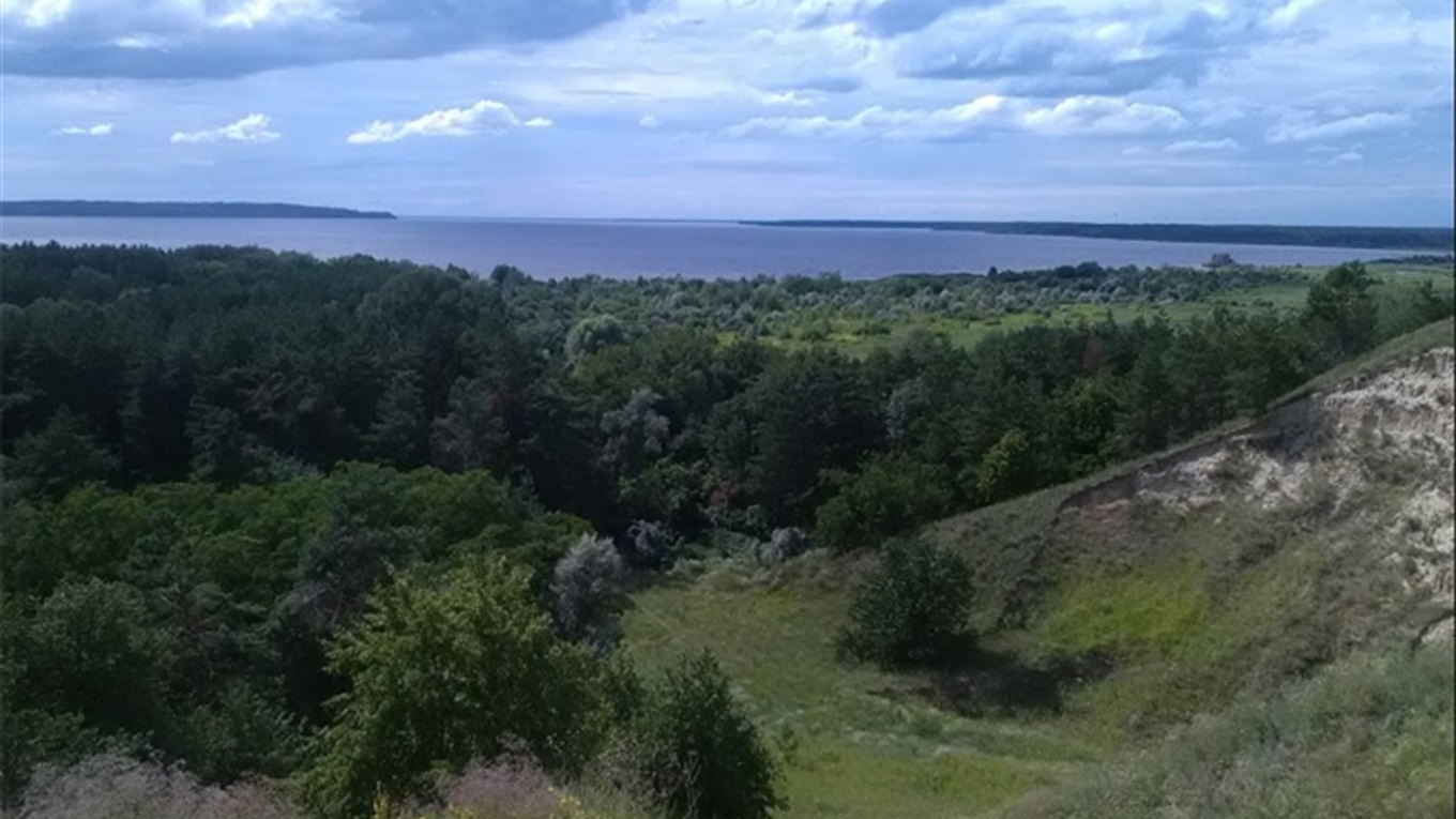 На Переяславщині незаконно здавали в оренду 1,5 гектара лісу
