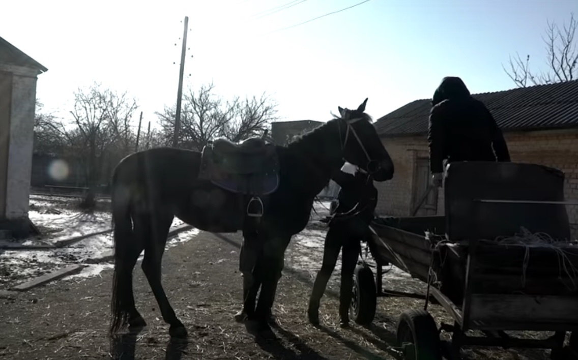 В конноспортивном клубе в Сватово