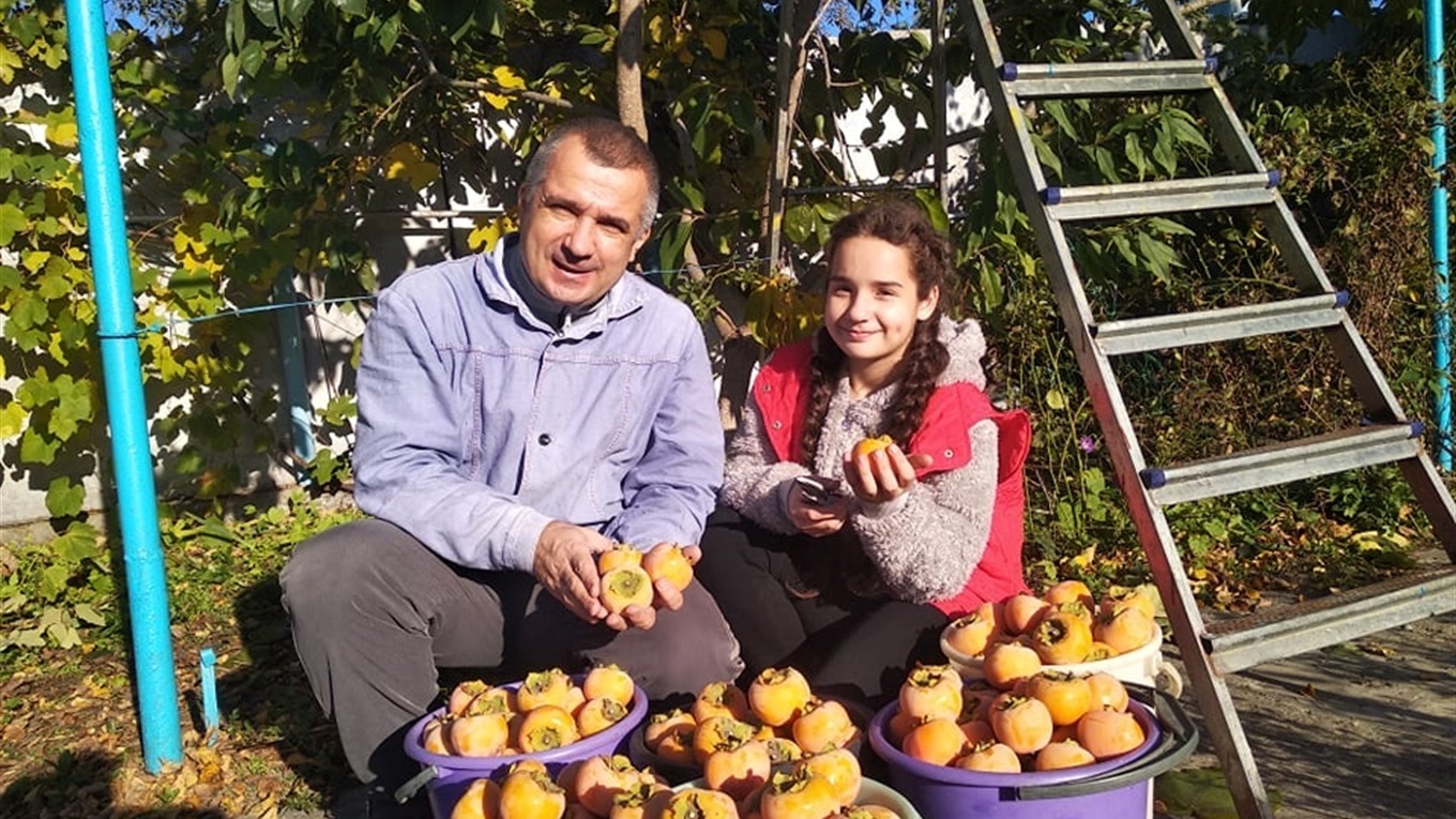 Хурма, зізіфус, інжир. Як в університетському саду у Херсоні вирощують екзотичні фрукти 