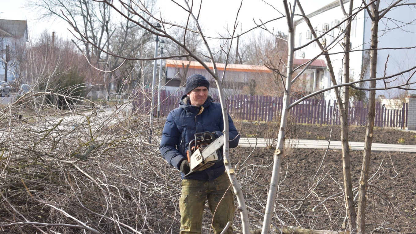 У центрі Нижніх Сірогоз проводять формувальну обрізку та зрізають аварійні дерева (фото)