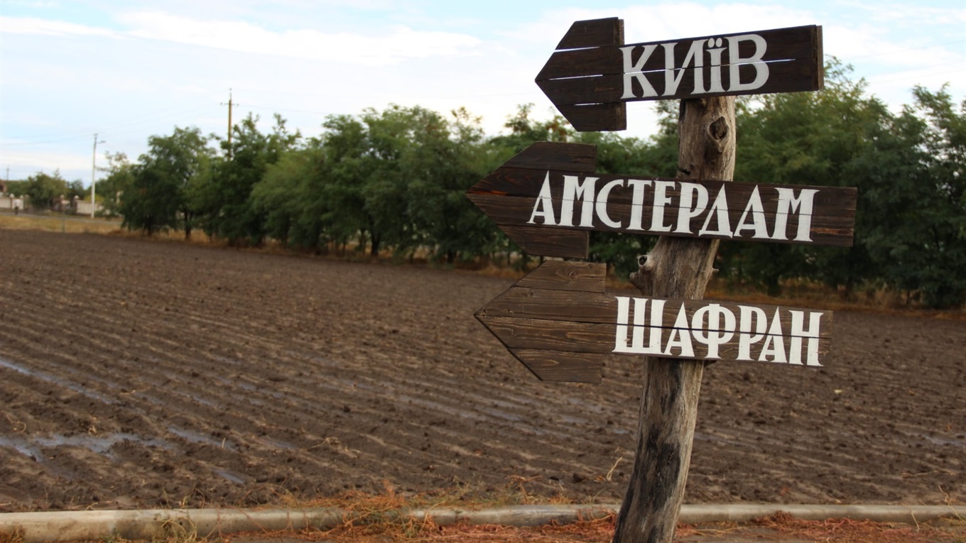 Шафран, спаржа та тюльпани. Як фермер на Херсонщині організував власний весняний фестиваль