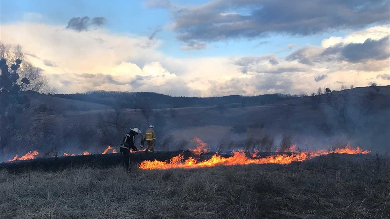 Знову почали палити траву. Цього разу в селі Онацьки Ржищівської ОТГ