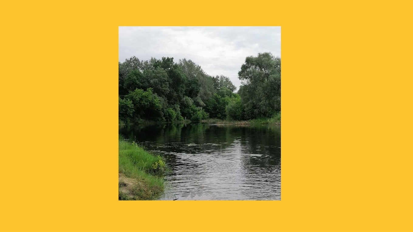 Чому важливі водні ресурси та метеорологічні дослідження. Розповідає Марина Карфідова