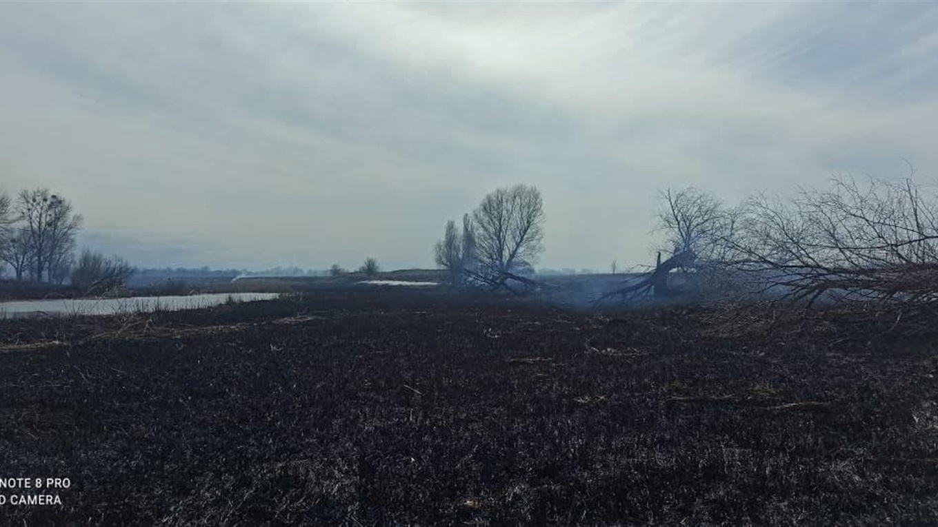 На Переяславщині сталося п'ять пожеж через спалювання сухостоїв