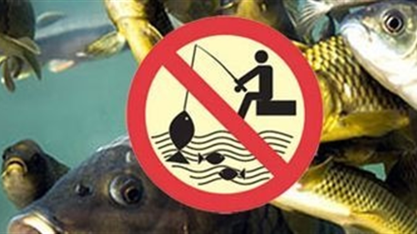 На водних об’єктах Полтавщини починається весняно-літній нерест