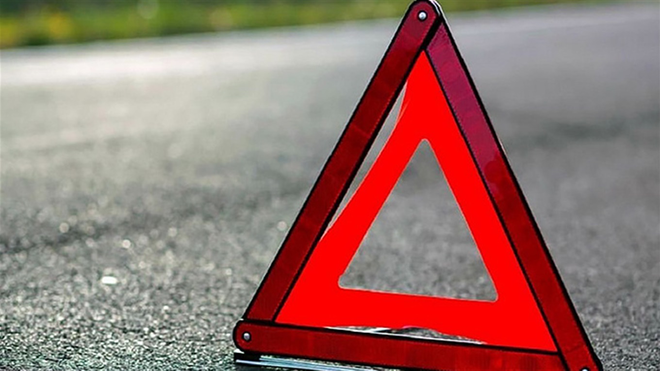 П’яний водій біля Полиць протаранив дерево