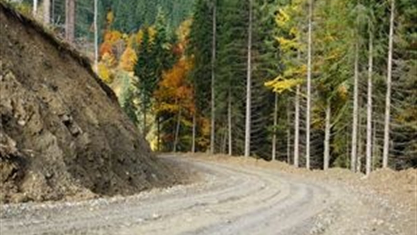 Лісові дороги: господарське, туристично-рекреаційне та соціальне призначення