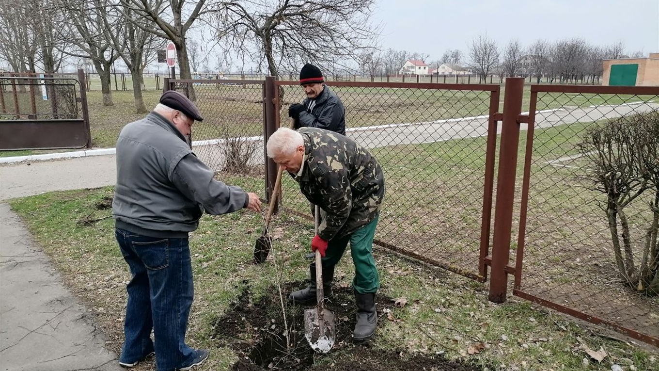 Біля міського ліцію №4 ліквідатори аварії на ЧАЕС посадили алею із беріз та лип