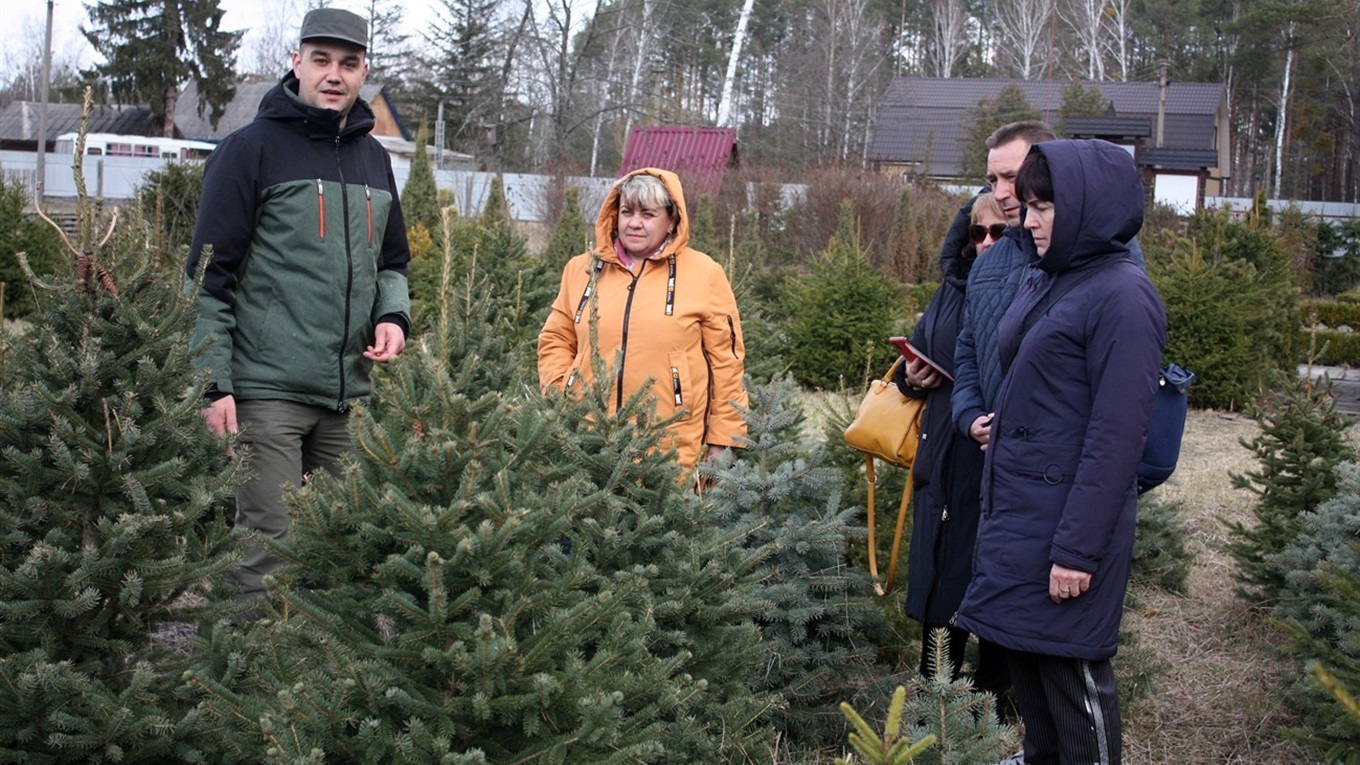 Городнянські лісівники спростовують міф про безконтрольне вирубування лісу