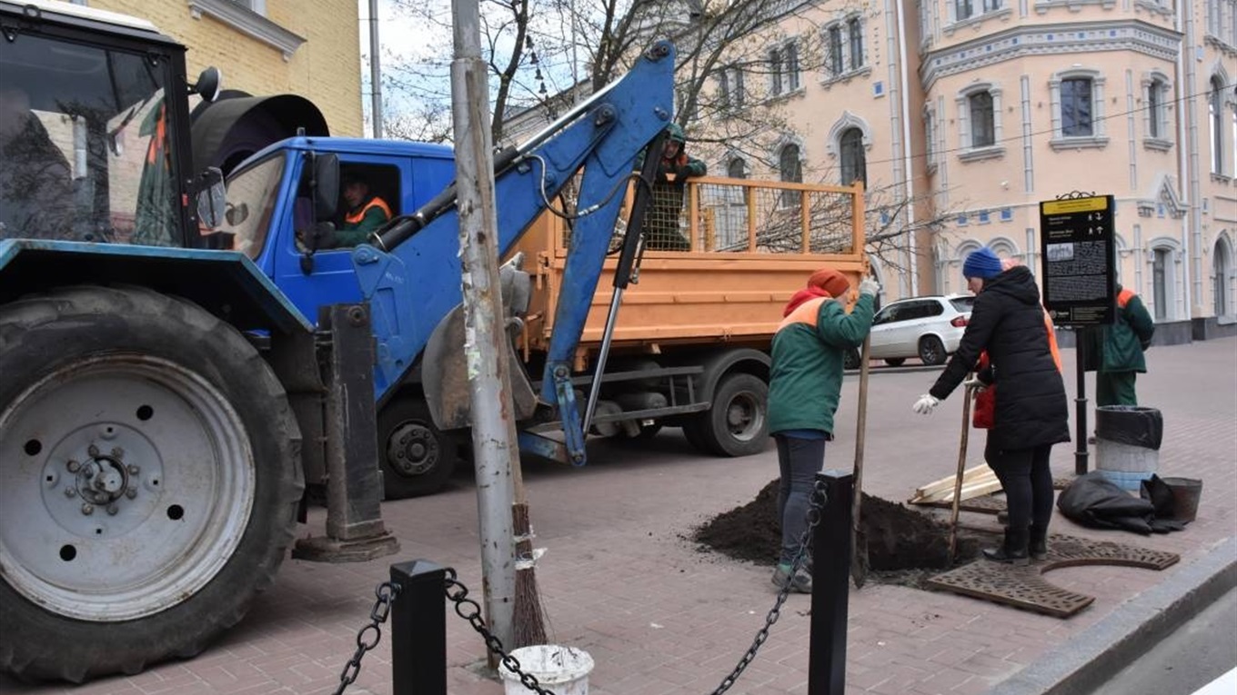 Сакури для Чернігова вже не екзотика. Якими деревами озеленюють місто