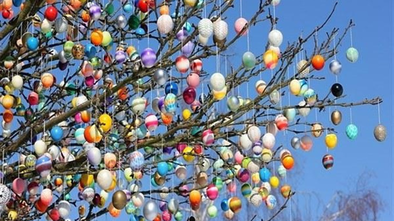 У Калуші розписали понад сотню писанок для Писанкового дерева