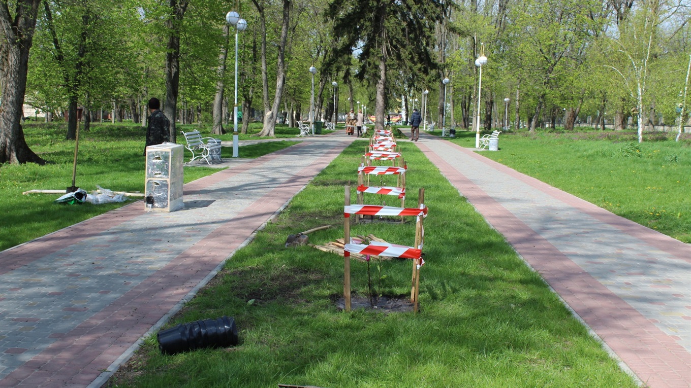 У Гадяцькому міському парку висаджено алею магнолій