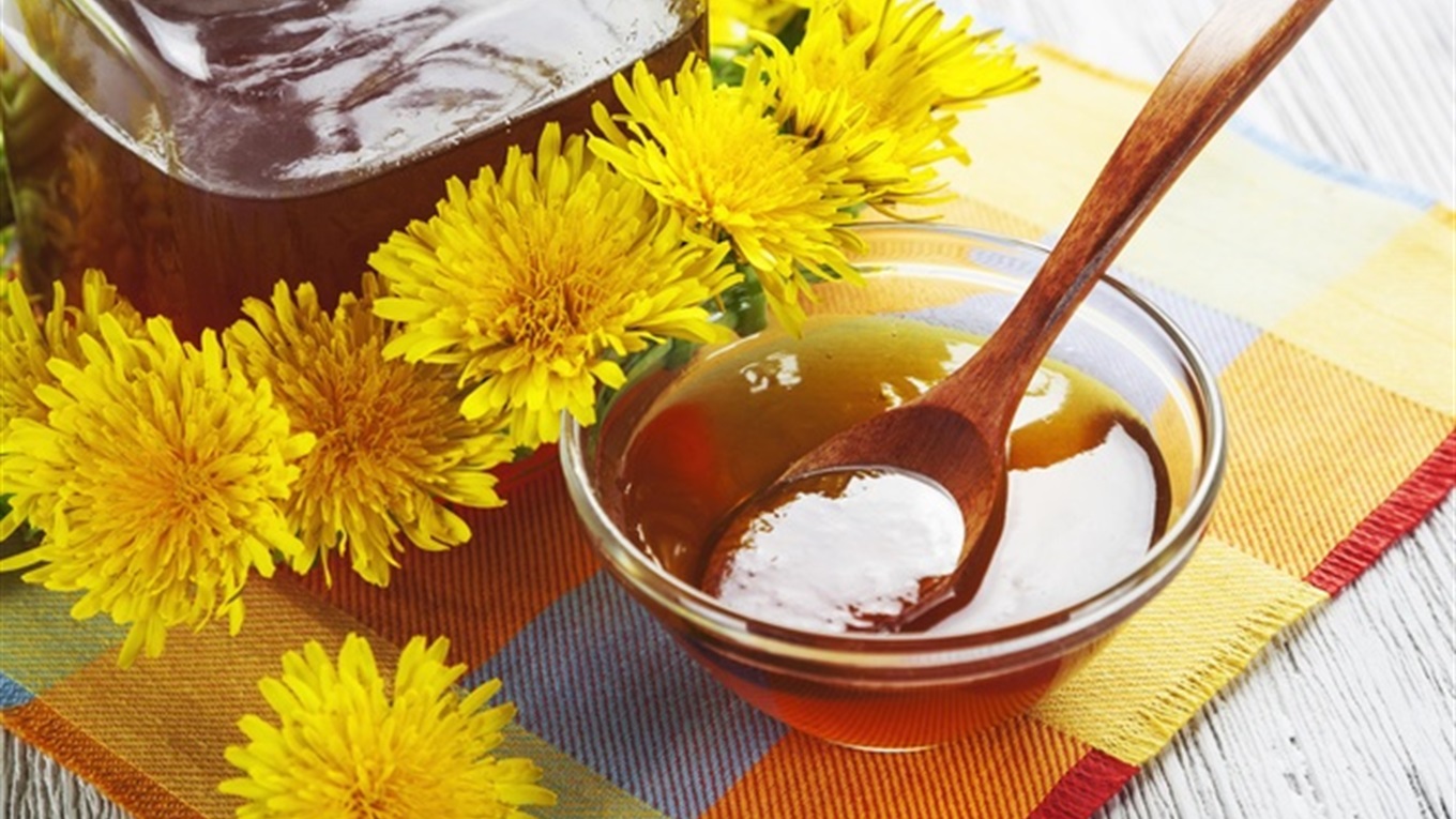 Що лікує мед із кульбаби?
