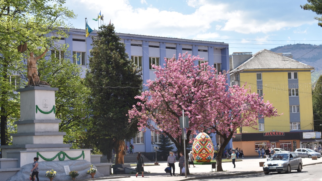 Не гірше Ужгорода чи Мукачева: у Рахові розцвіли сакури