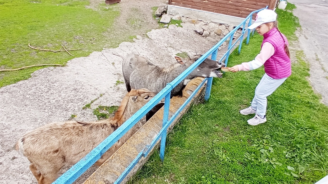 Менський зоопарк після локдауну знову зустрічає відвідувачів