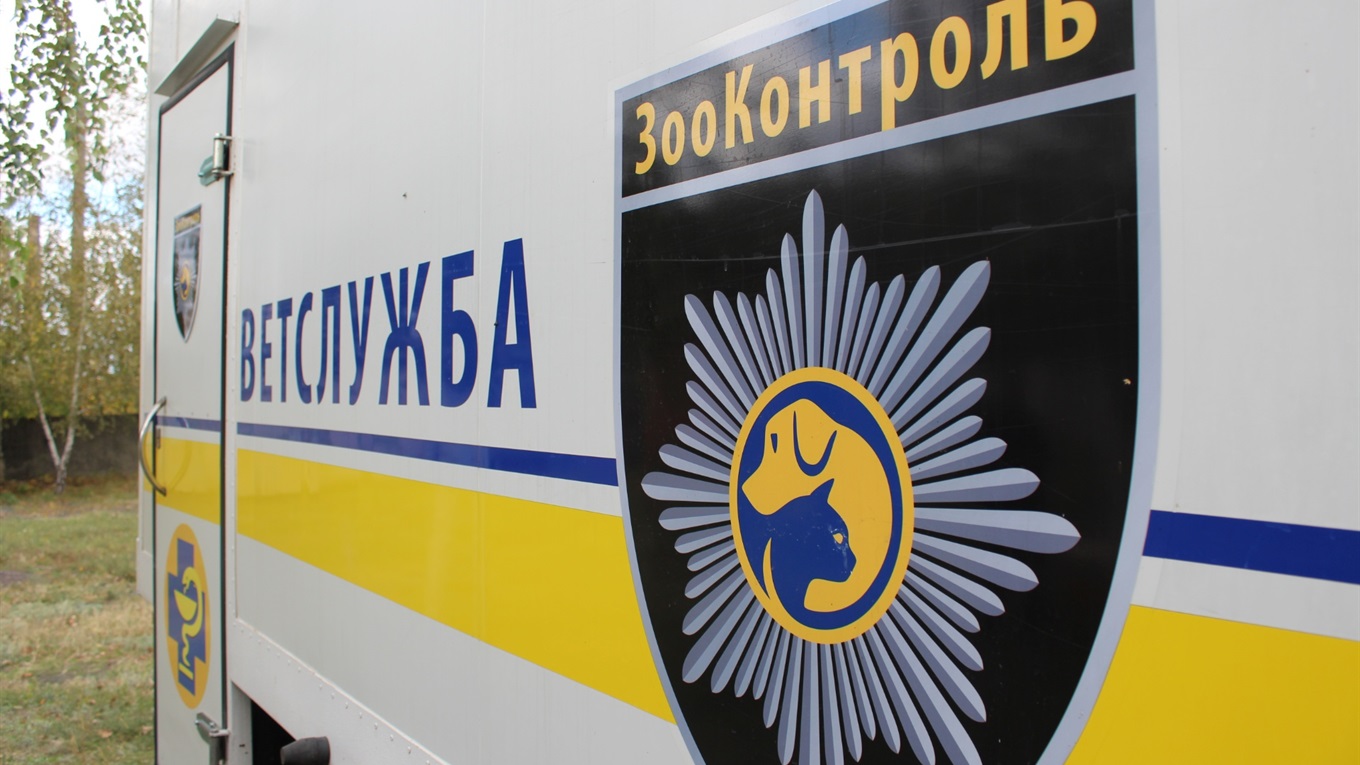 В Попасной планируют стерилизовать собак