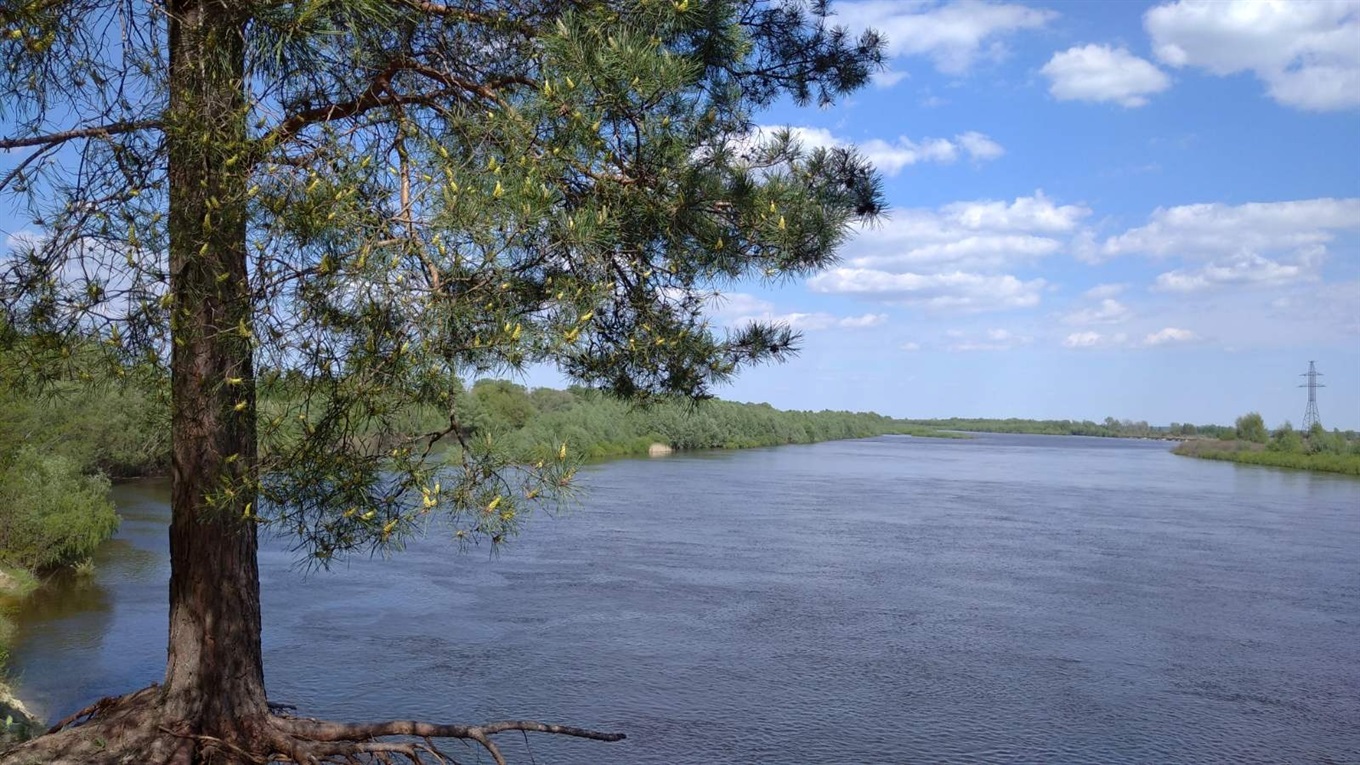 Пік весняного водопілля на Десні пройдений. Міський пляж готують до пляжного сезону