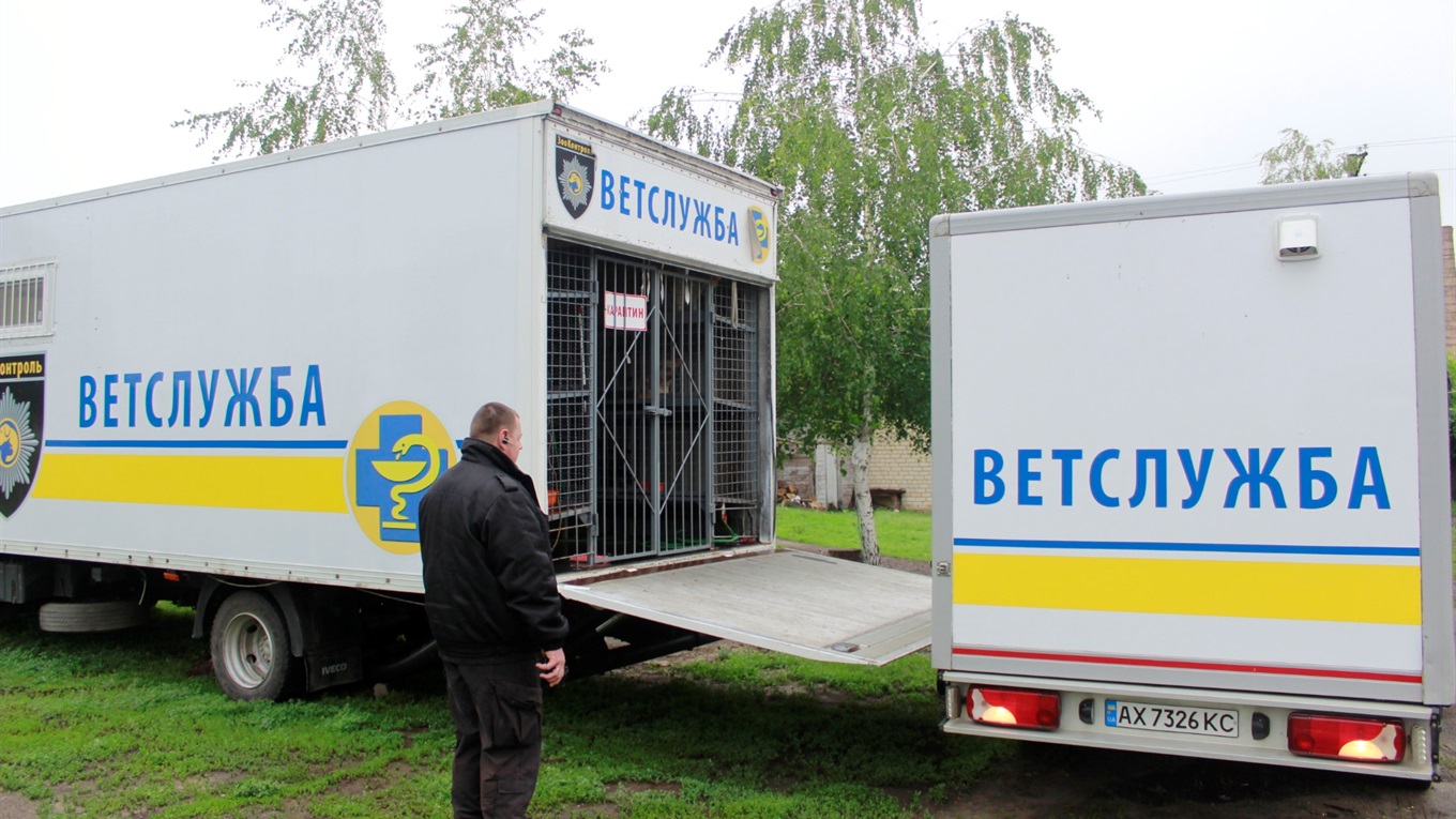«Зооконтроль» завершил первый этап вакцинации и стерилизации собак в Попасной. Что дальше?