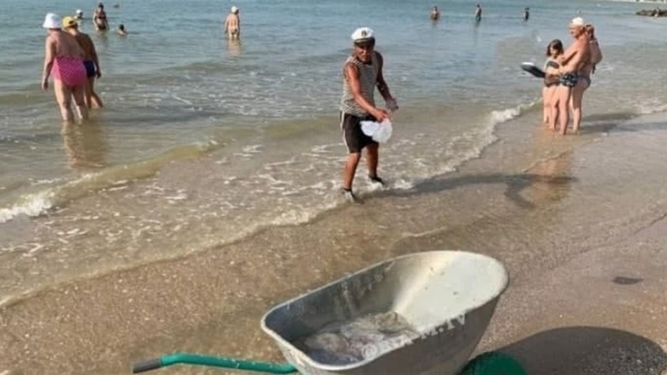 Нашествия медуз в Азовском море. Их вывозят с пляжа тачкой: видео