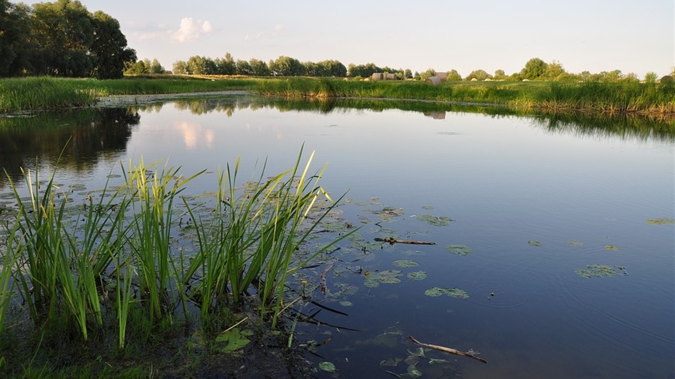 На ставках та річках продовжують гинути люди: вода забрала п'ятьох жителів Хмельниччини. Троє - діти